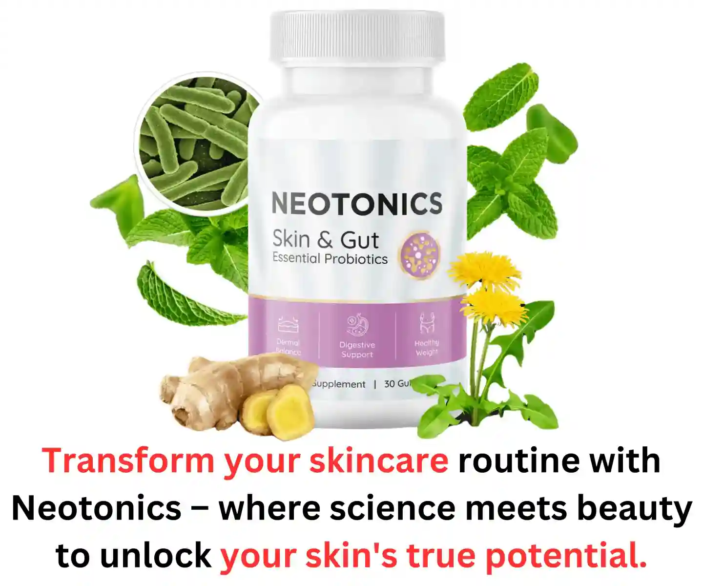 Neotonics  pills